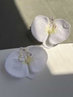 گیره‌صندل‌ارکیده‌سفید